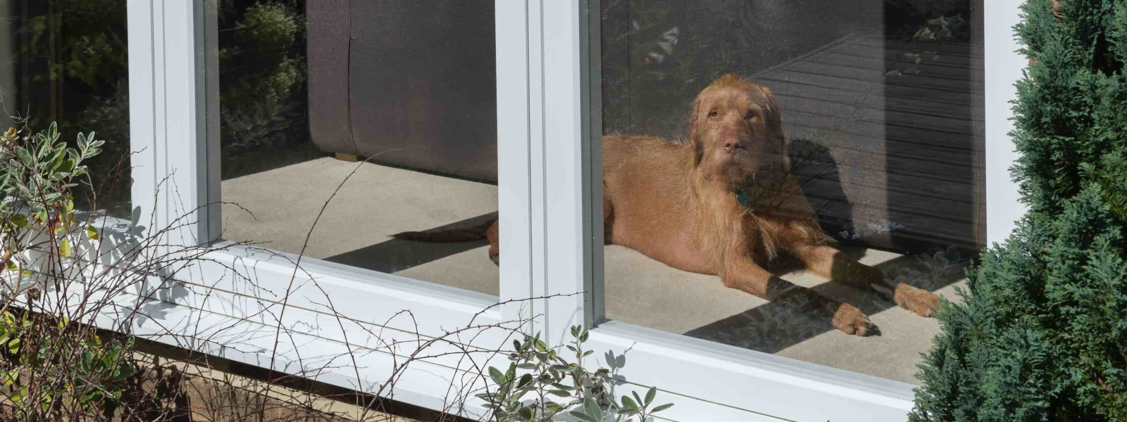 Double Glazing Company 