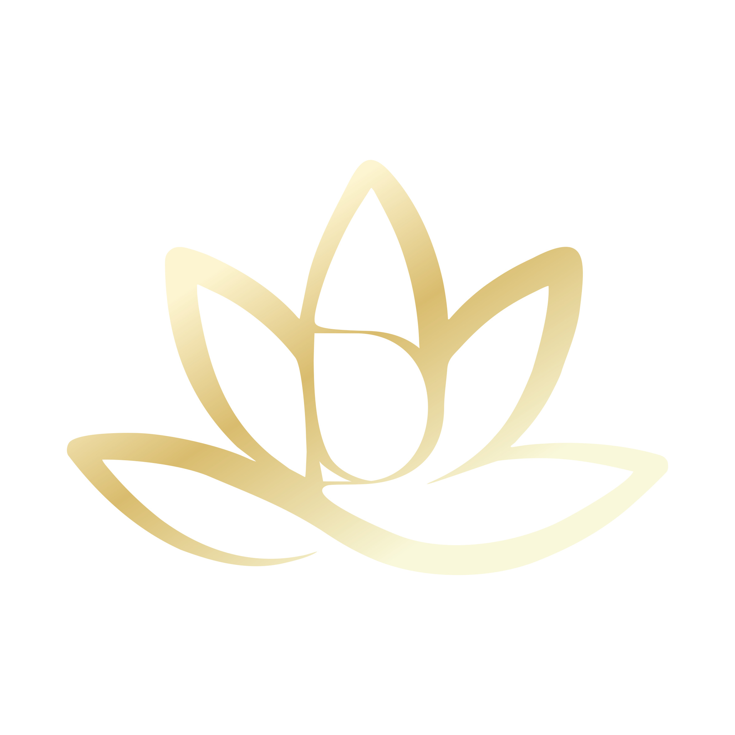 Beauty Without Limits