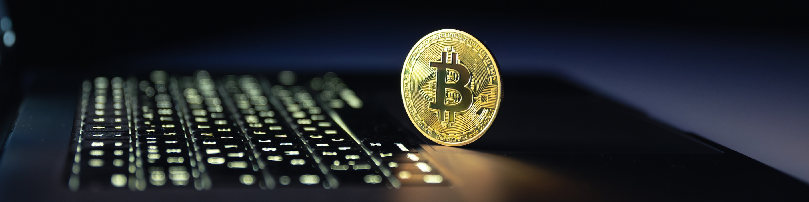 Startup Trading Bots 