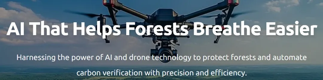 AI and Climate Change 