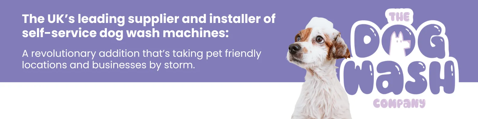 The Dog Wash Company 